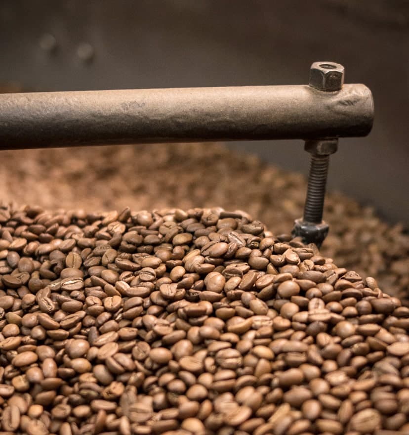Café Arábica