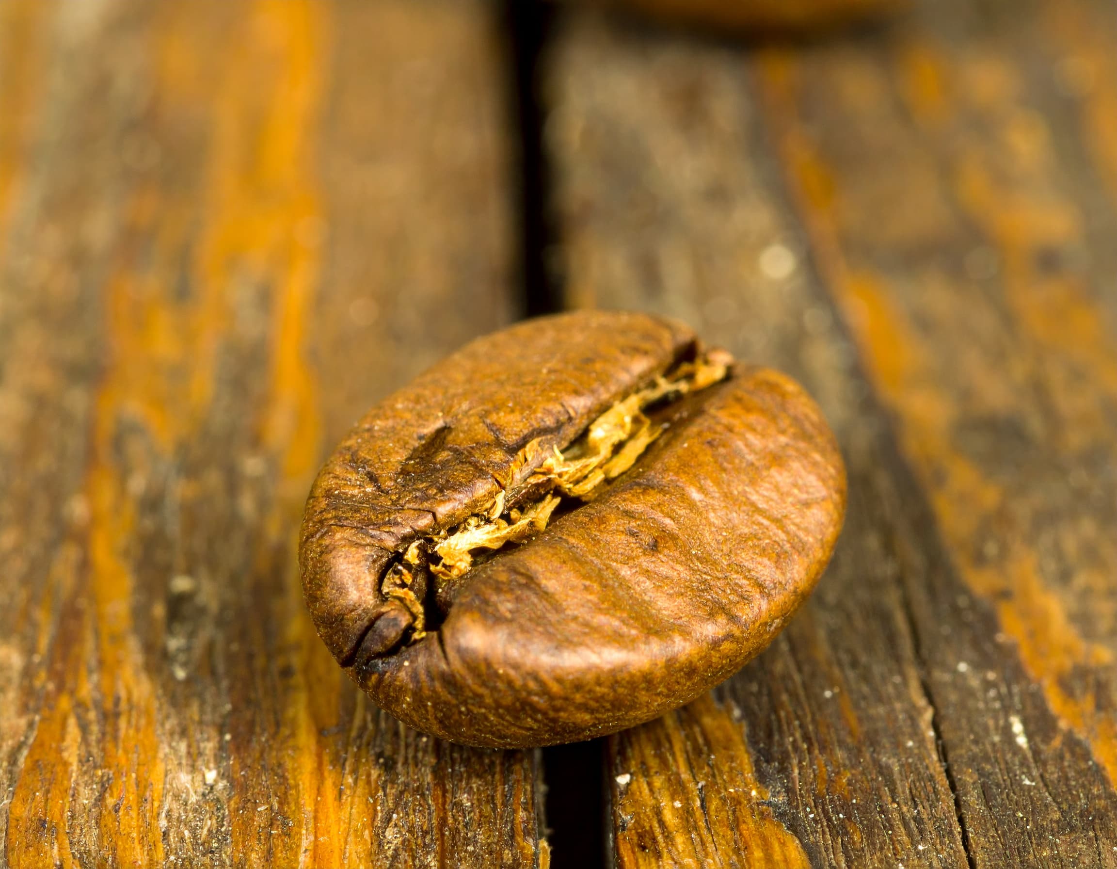 Café Robusta