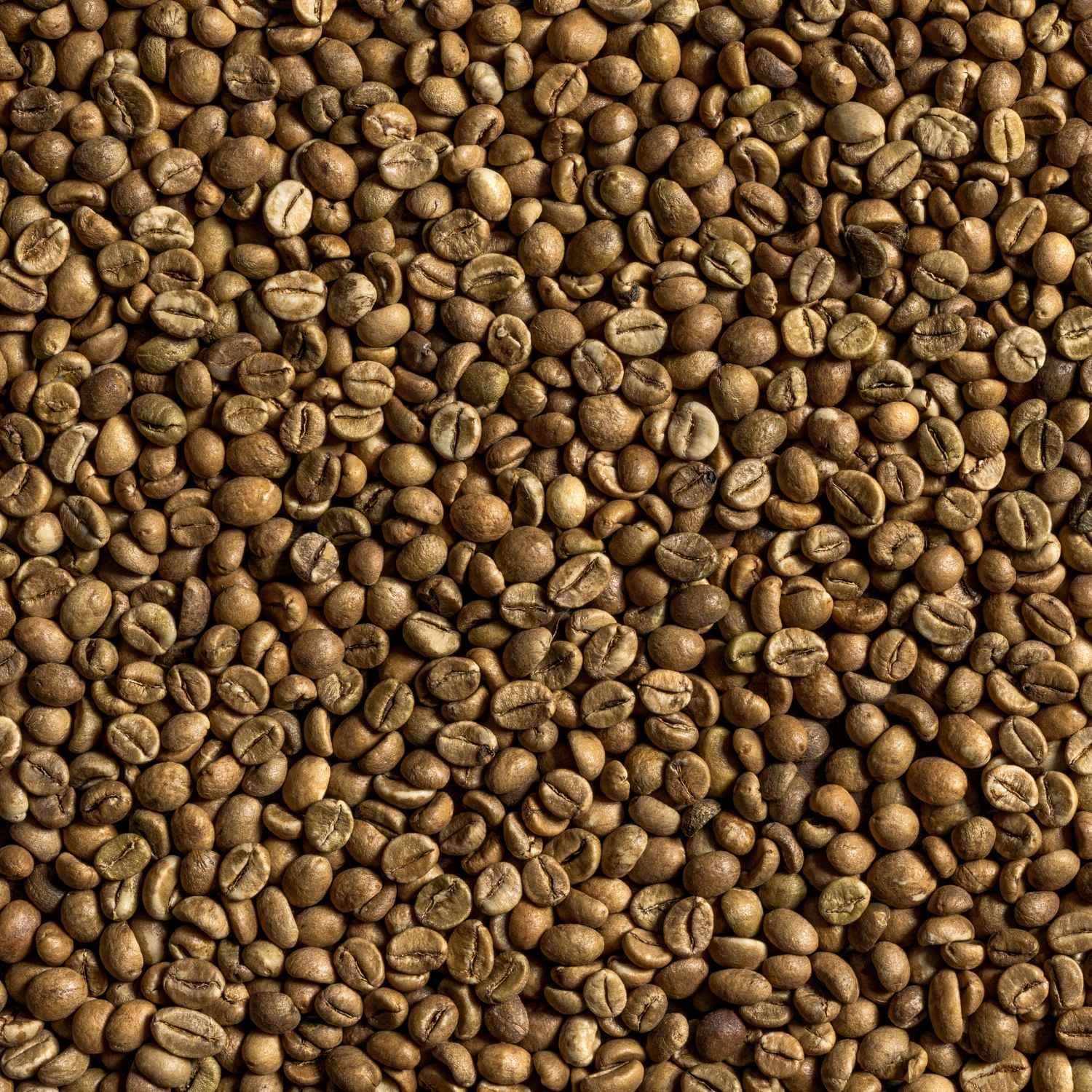Café Robusta - Vista 2